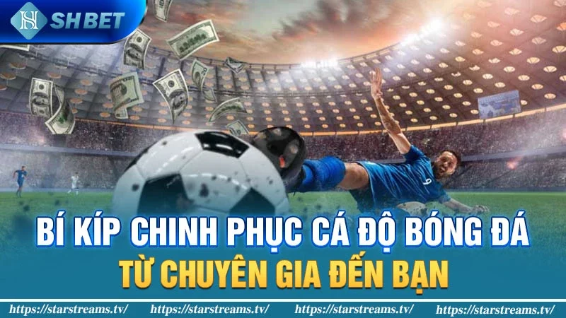 #6 lý do khiến bạn thường thua trong cá độ bóng đá 5 Bí kíp chinh phục cá độ bóng đá: Từ chuyên gia đến bạn
